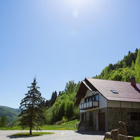 Kamyanka Villa Jaremcse Kültér fotó