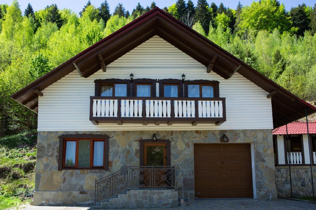 Kamyanka Villa Jaremcse Kültér fotó