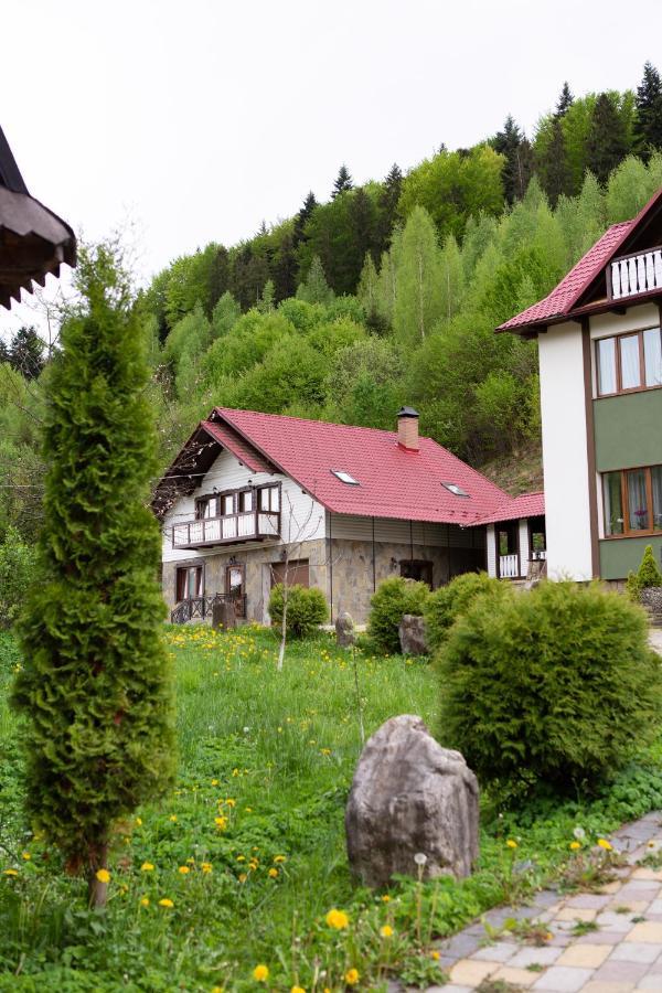 Kamyanka Villa Jaremcse Kültér fotó