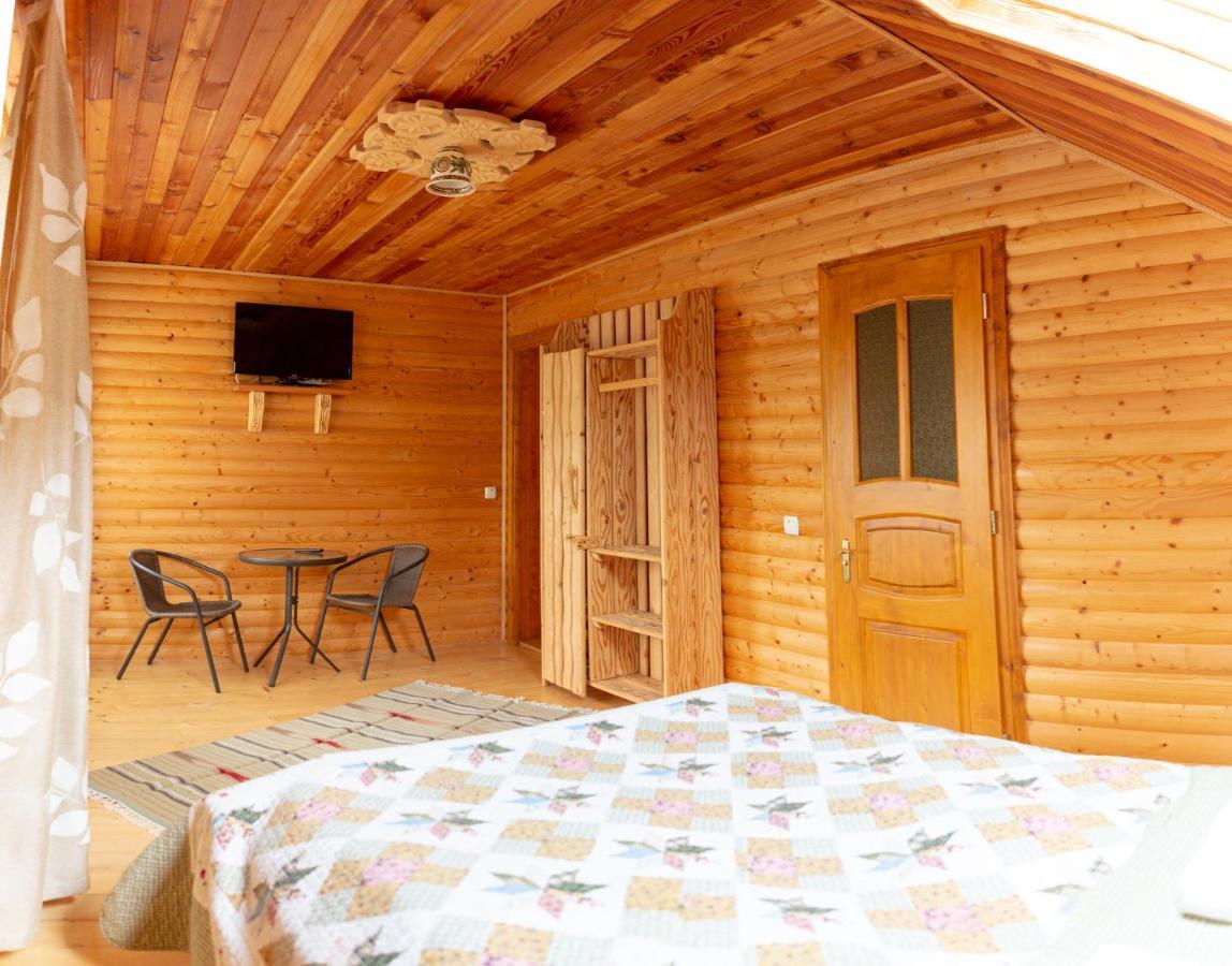 Kamyanka Villa Jaremcse Kültér fotó