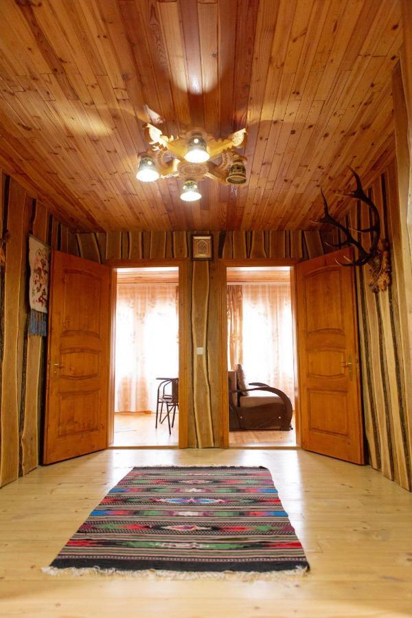 Kamyanka Villa Jaremcse Kültér fotó
